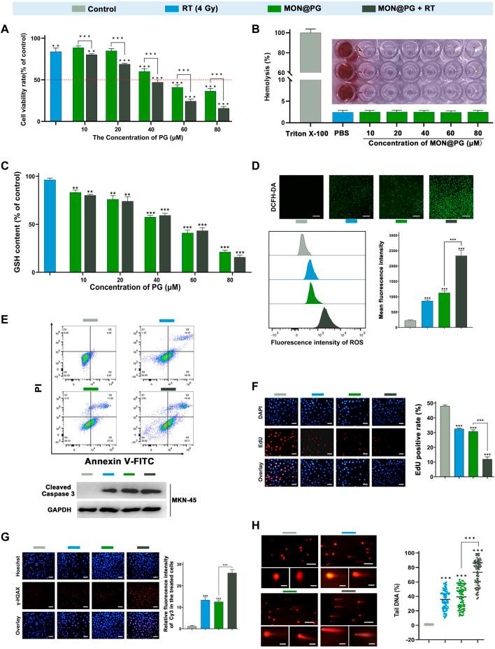 https://cdn.ncbi.nlm.nih.gov/pmc/blobs/a5d6/10151506/c0a1093ca591/fbioe-11-1171450-g002.jpg