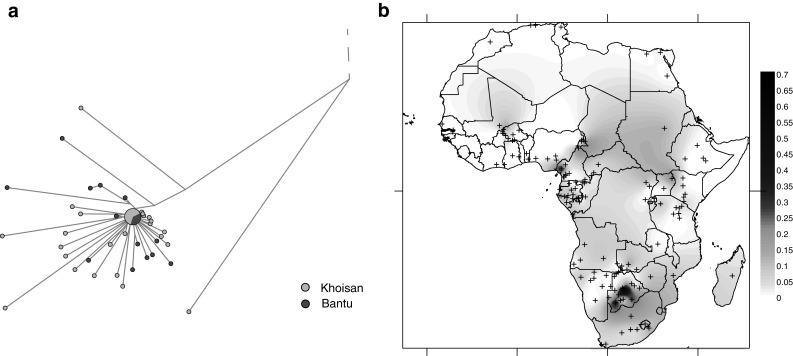 https://cdn.ncbi.nlm.nih.gov/pmc/blobs/a5d8/4835522/6dbb45fa5bd6/439_2016_1651_Fig2_HTML.jpg