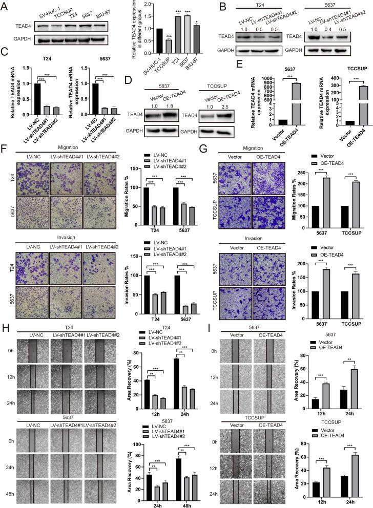 https://cdn.ncbi.nlm.nih.gov/pmc/blobs/a5d8/9112458/5b7ac05deef0/13046_2022_2377_Fig5_HTML.jpg
