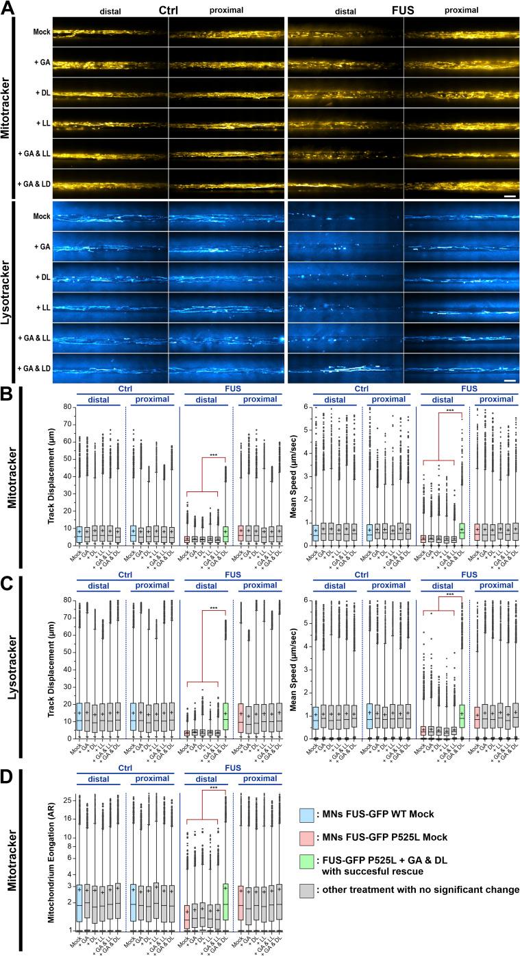 https://cdn.ncbi.nlm.nih.gov/pmc/blobs/a5d9/11101837/6f499fdd653a/LSA-2023-02535_FigS2.jpg