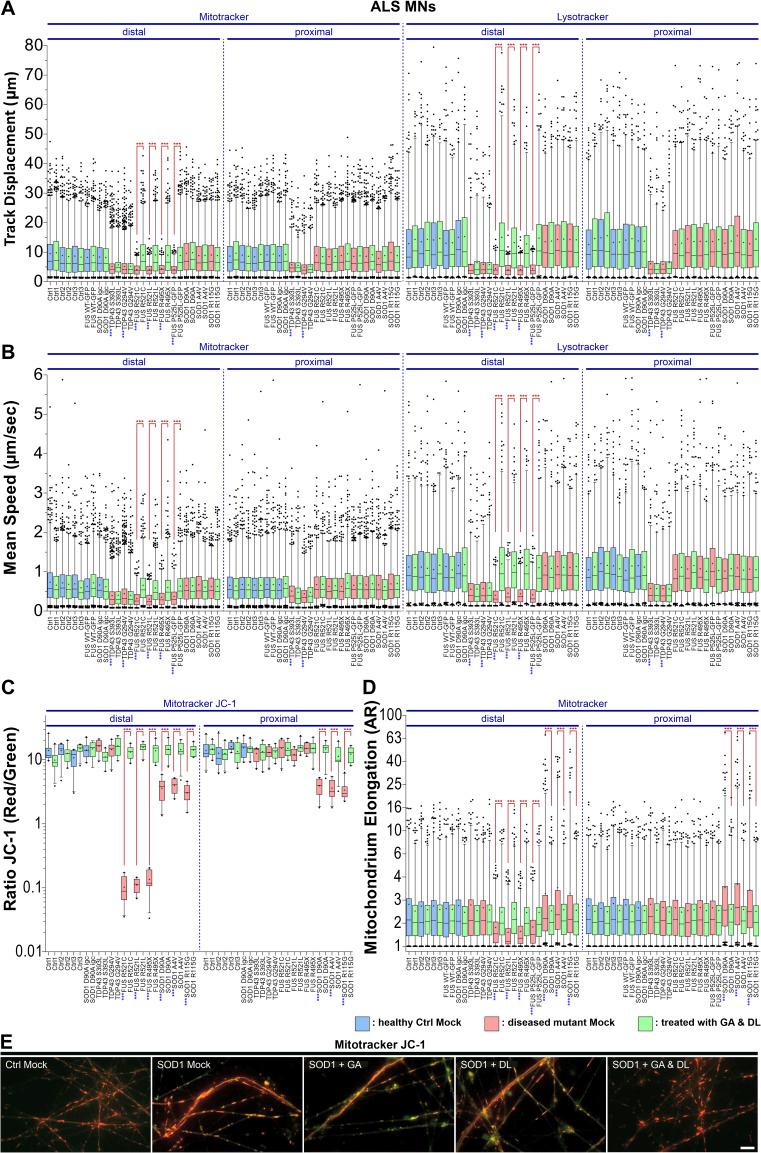 https://cdn.ncbi.nlm.nih.gov/pmc/blobs/a5d9/11101837/75869415503c/LSA-2023-02535_FigS1.jpg