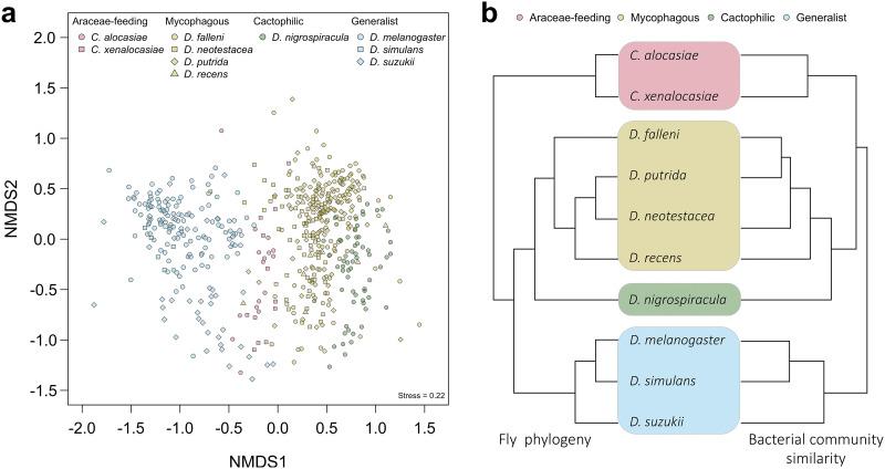 https://cdn.ncbi.nlm.nih.gov/pmc/blobs/a5db/9431182/1e6fabf21c31/spectrum.01418-22-f005.jpg