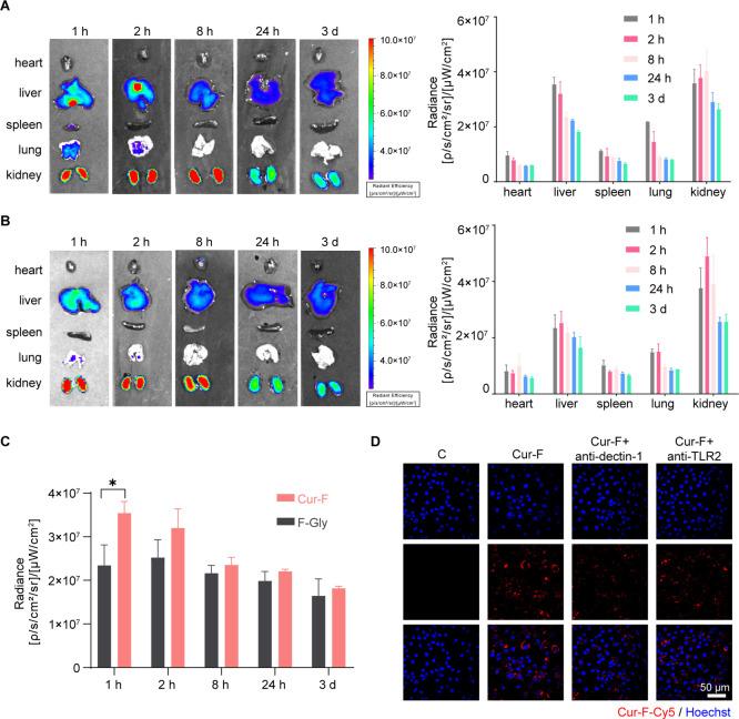 https://cdn.ncbi.nlm.nih.gov/pmc/blobs/a5dc/10860698/077922248ca2/am3c16168_0003.jpg