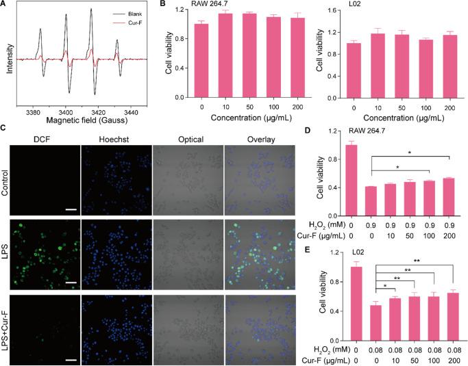 https://cdn.ncbi.nlm.nih.gov/pmc/blobs/a5dc/10860698/123be20be997/am3c16168_0002.jpg