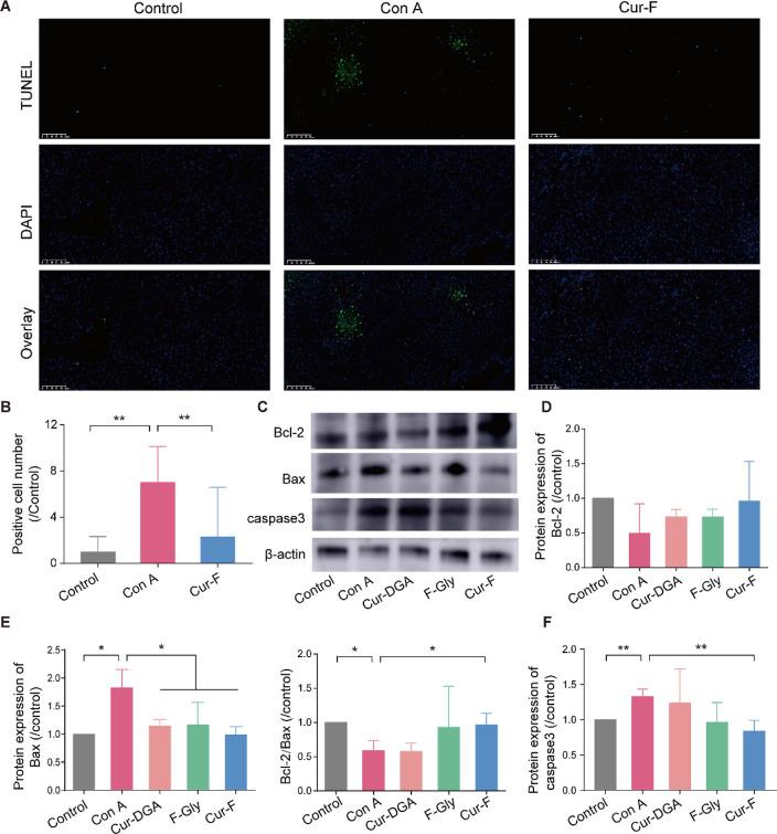 https://cdn.ncbi.nlm.nih.gov/pmc/blobs/a5dc/10860698/ac6d5da55b76/am3c16168_0007.jpg