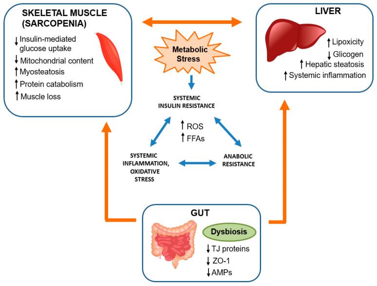 https://cdn.ncbi.nlm.nih.gov/pmc/blobs/a5dc/10886686/bf20ee338ad0/biomedicines-12-00382-g002.jpg
