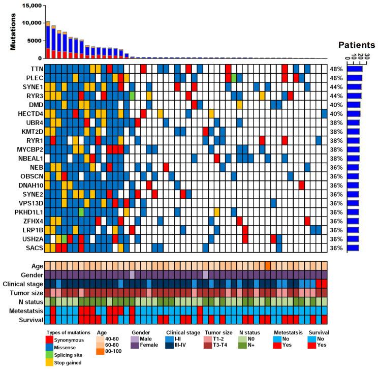 https://cdn.ncbi.nlm.nih.gov/pmc/blobs/a5de/10298855/6f53335f9f8c/ijms-24-10408-g003.jpg