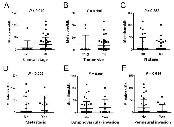https://cdn.ncbi.nlm.nih.gov/pmc/blobs/a5de/10298855/ce0f390b5c34/ijms-24-10408-g002.jpg