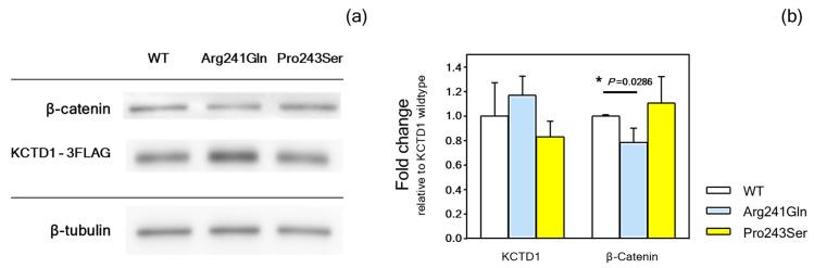 https://cdn.ncbi.nlm.nih.gov/pmc/blobs/a5df/11121487/52c413cf795a/ijms-25-05179-g006.jpg