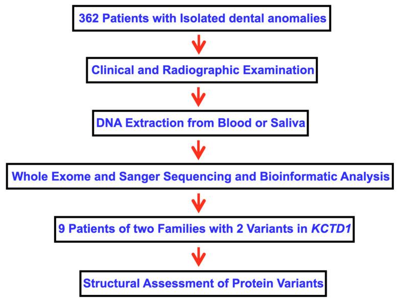 https://cdn.ncbi.nlm.nih.gov/pmc/blobs/a5df/11121487/ab3ed9eb8794/ijms-25-05179-g009.jpg