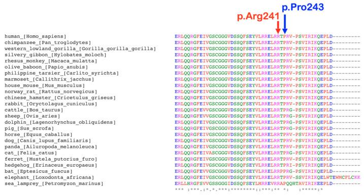 https://cdn.ncbi.nlm.nih.gov/pmc/blobs/a5df/11121487/b6ec86b3624c/ijms-25-05179-g005.jpg