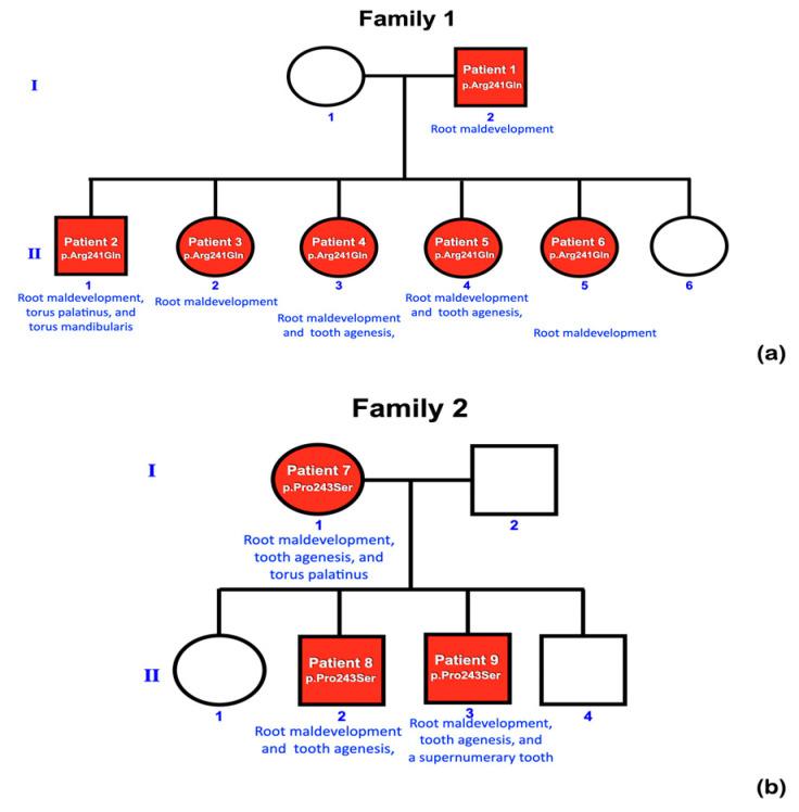 https://cdn.ncbi.nlm.nih.gov/pmc/blobs/a5df/11121487/e78cf9d0f7a9/ijms-25-05179-g001.jpg