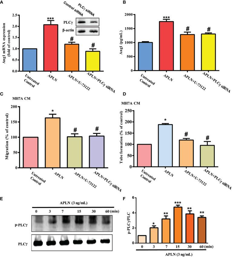 https://cdn.ncbi.nlm.nih.gov/pmc/blobs/a5e0/8511637/2af2d40adb30/fimmu-12-737990-g002.jpg