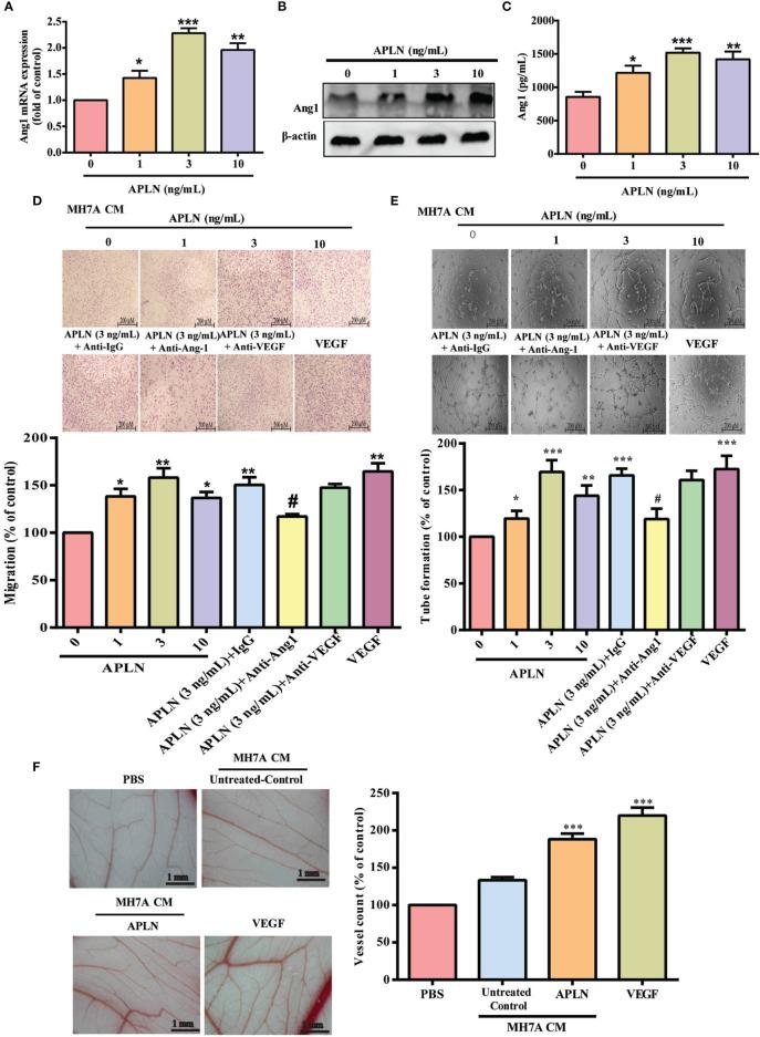https://cdn.ncbi.nlm.nih.gov/pmc/blobs/a5e0/8511637/a4b738cec1ac/fimmu-12-737990-g001.jpg