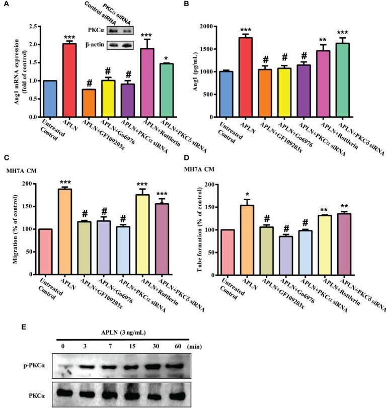 https://cdn.ncbi.nlm.nih.gov/pmc/blobs/a5e0/8511637/ac194c2b1c80/fimmu-12-737990-g003.jpg