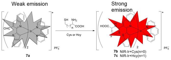 https://cdn.ncbi.nlm.nih.gov/pmc/blobs/a5e3/10780525/6eeef1aa6e74/molecules-29-00256-g006.jpg