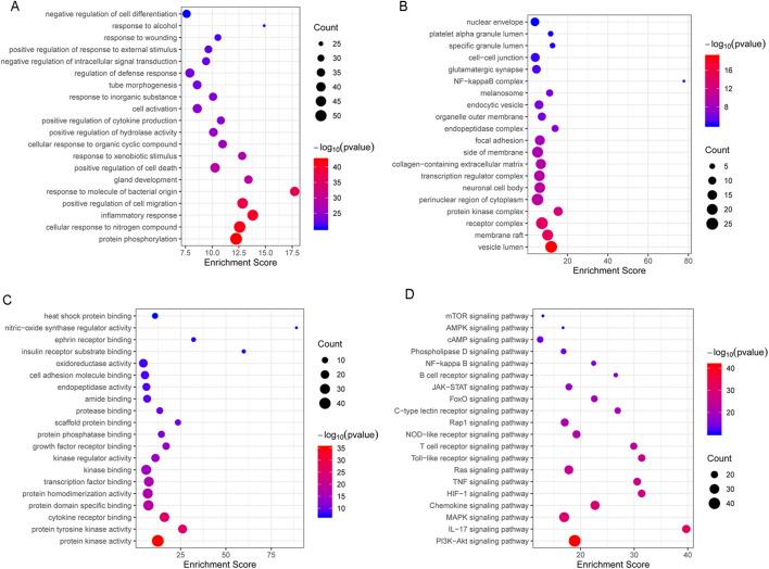 https://cdn.ncbi.nlm.nih.gov/pmc/blobs/a5e3/12301349/9c9bf6452a84/fphar-16-1578749-g003.jpg