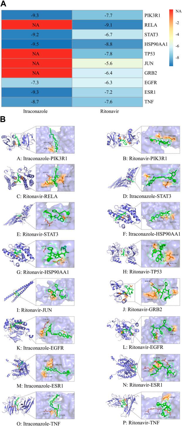https://cdn.ncbi.nlm.nih.gov/pmc/blobs/a5e3/12301349/d39684c2679b/fphar-16-1578749-g005.jpg