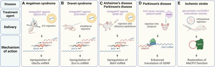 https://cdn.ncbi.nlm.nih.gov/pmc/blobs/a5e5/10277896/95ce85bc3033/gr4.jpg