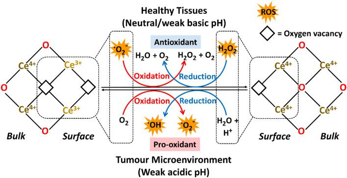 https://cdn.ncbi.nlm.nih.gov/pmc/blobs/a5e7/11072460/70b025d2db9c/18_2023_4694_Fig2_HTML.jpg