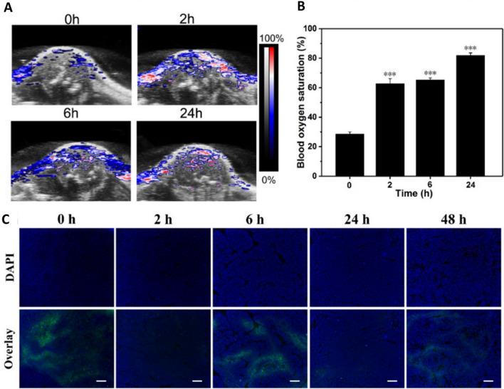 https://cdn.ncbi.nlm.nih.gov/pmc/blobs/a5e7/11072460/93aa30e65b25/18_2023_4694_Fig3_HTML.jpg