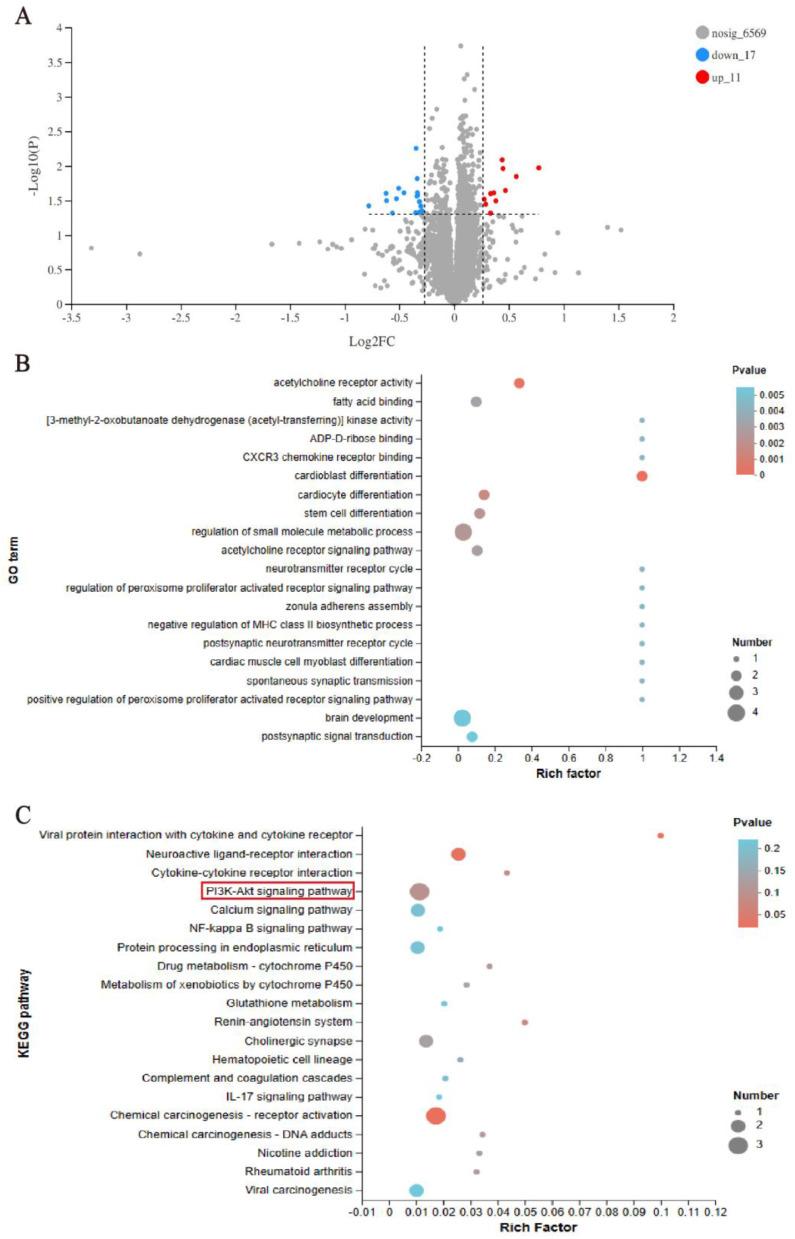 https://cdn.ncbi.nlm.nih.gov/pmc/blobs/a5ed/12034289/0997bb38d2ab/DDDT-19-3139-g0009.jpg