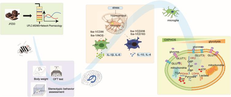 https://cdn.ncbi.nlm.nih.gov/pmc/blobs/a5ed/12034289/1974f0b31987/DDDT-19-3139-g0001.jpg
