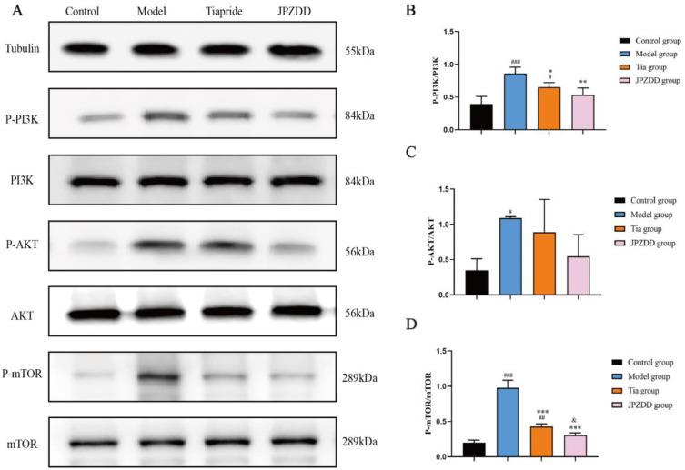 https://cdn.ncbi.nlm.nih.gov/pmc/blobs/a5ed/12034289/237aa2190dac/DDDT-19-3139-g0010.jpg