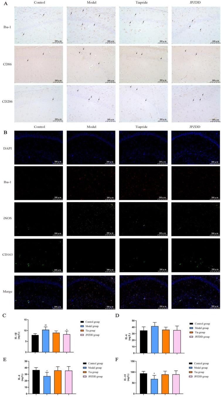 https://cdn.ncbi.nlm.nih.gov/pmc/blobs/a5ed/12034289/5ae2d9768a31/DDDT-19-3139-g0007.jpg