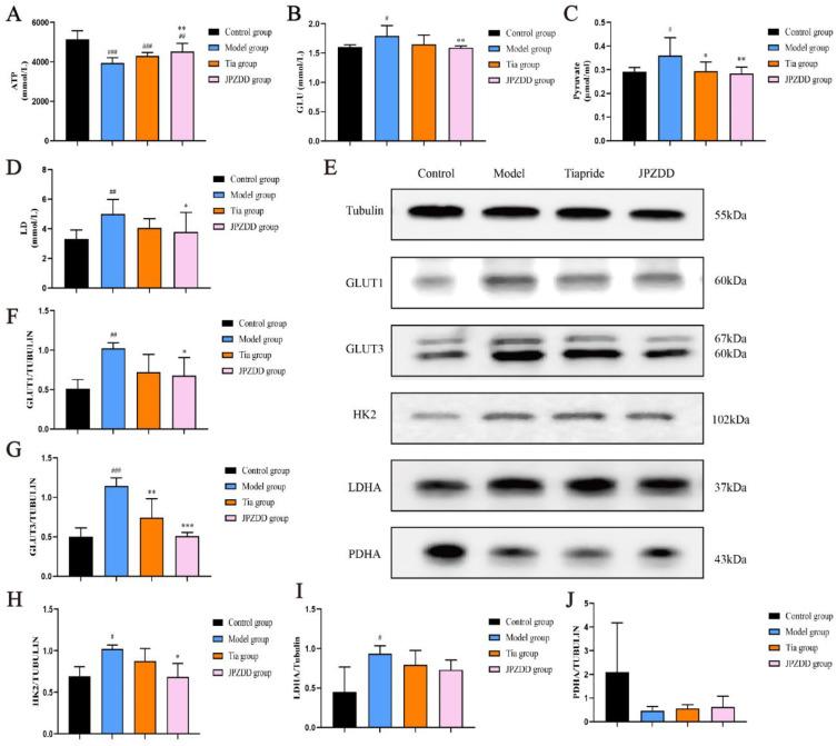 https://cdn.ncbi.nlm.nih.gov/pmc/blobs/a5ed/12034289/5e9a14c8ccda/DDDT-19-3139-g0006.jpg