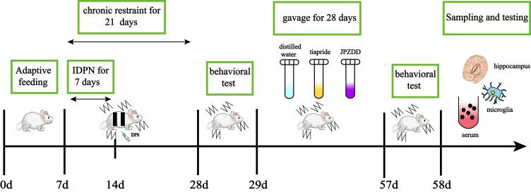https://cdn.ncbi.nlm.nih.gov/pmc/blobs/a5ed/12034289/8e2a9abaf7c7/DDDT-19-3139-g0002.jpg