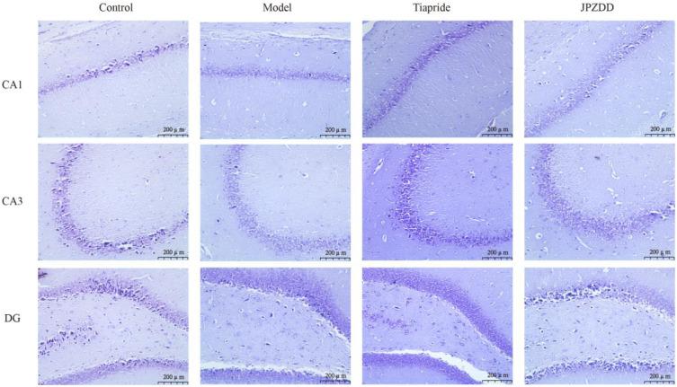 https://cdn.ncbi.nlm.nih.gov/pmc/blobs/a5ed/12034289/f7374de5f6dc/DDDT-19-3139-g0005.jpg