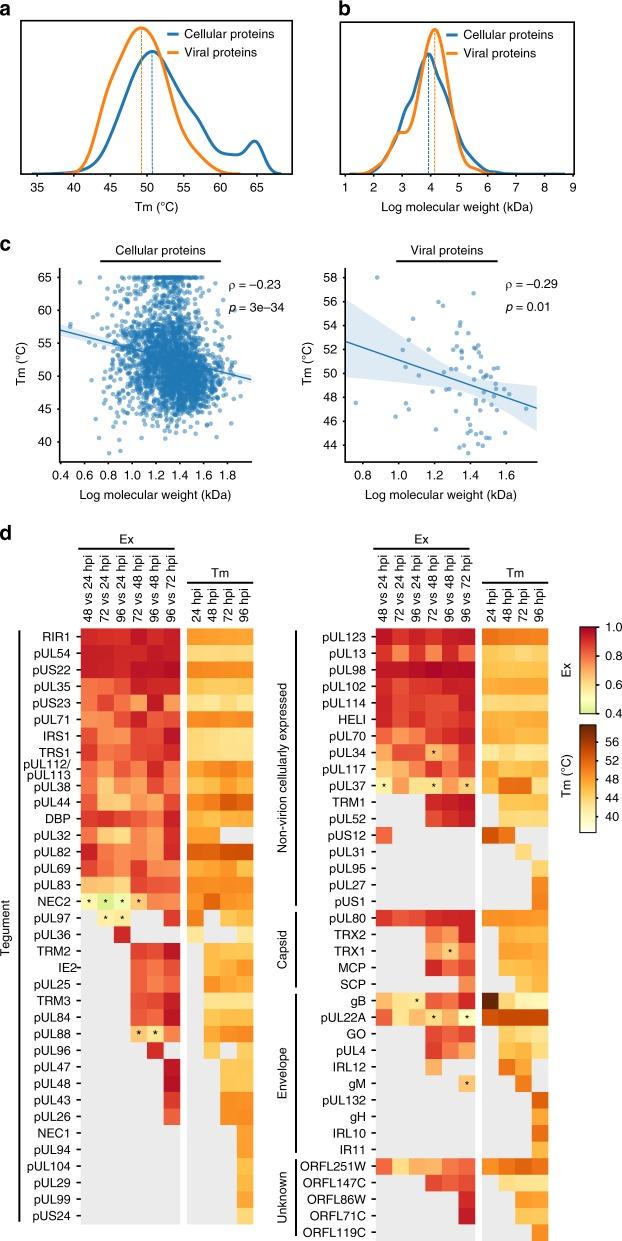 https://cdn.ncbi.nlm.nih.gov/pmc/blobs/a5ed/7010728/abfc31f96146/41467_2020_14586_Fig7_HTML.jpg