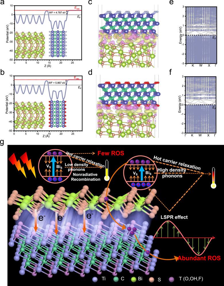 https://cdn.ncbi.nlm.nih.gov/pmc/blobs/a5ed/7900204/b3a751e3f71d/41467_2021_21435_Fig4_HTML.jpg