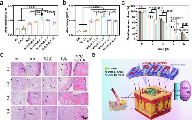 https://cdn.ncbi.nlm.nih.gov/pmc/blobs/a5ed/7900204/ebbbfa0a43b6/41467_2021_21435_Fig5_HTML.jpg