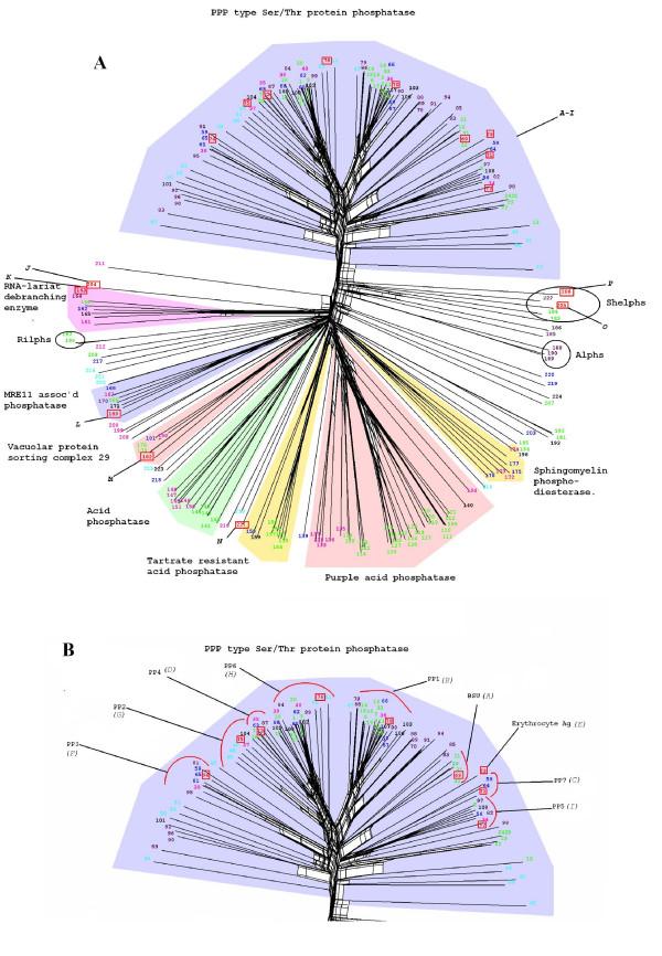 https://cdn.ncbi.nlm.nih.gov/pmc/blobs/a5ef/2559854/8f957b706853/1471-2164-9-412-3.jpg