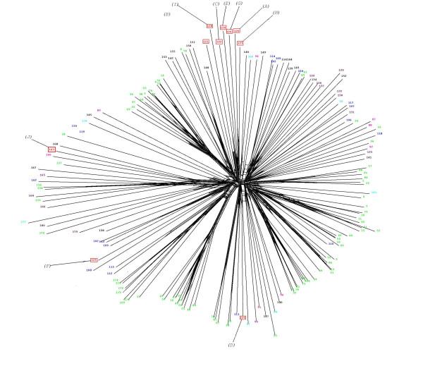 https://cdn.ncbi.nlm.nih.gov/pmc/blobs/a5ef/2559854/9e7494187b97/1471-2164-9-412-4.jpg