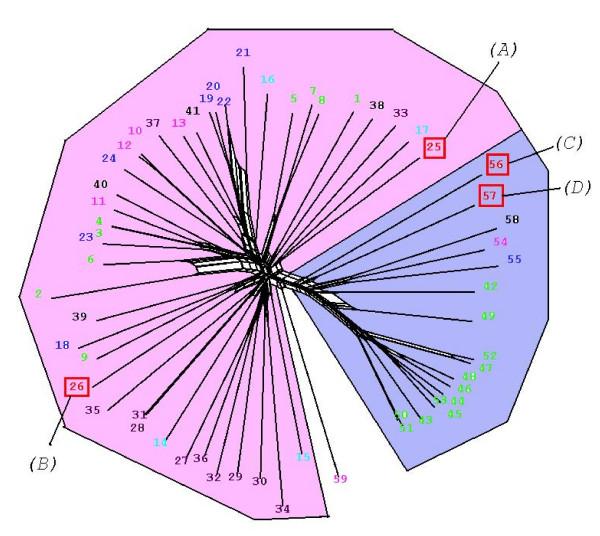https://cdn.ncbi.nlm.nih.gov/pmc/blobs/a5ef/2559854/e026e7a14983/1471-2164-9-412-6.jpg
