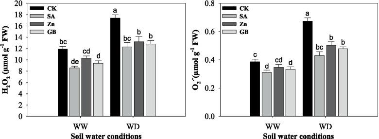 https://cdn.ncbi.nlm.nih.gov/pmc/blobs/a5ef/8647490/09aa017147ea/12870_2021_3367_Fig4_HTML.jpg