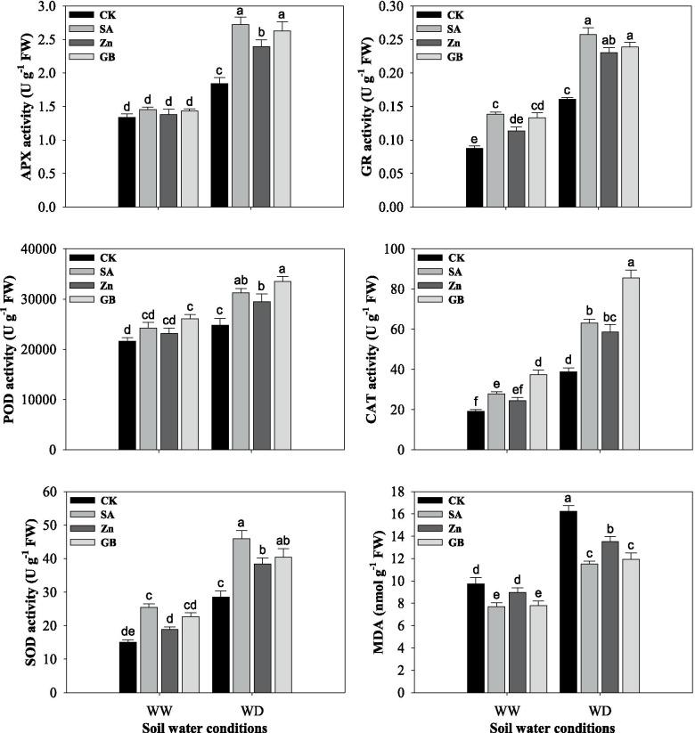 https://cdn.ncbi.nlm.nih.gov/pmc/blobs/a5ef/8647490/2448b5ba2ec5/12870_2021_3367_Fig3_HTML.jpg
