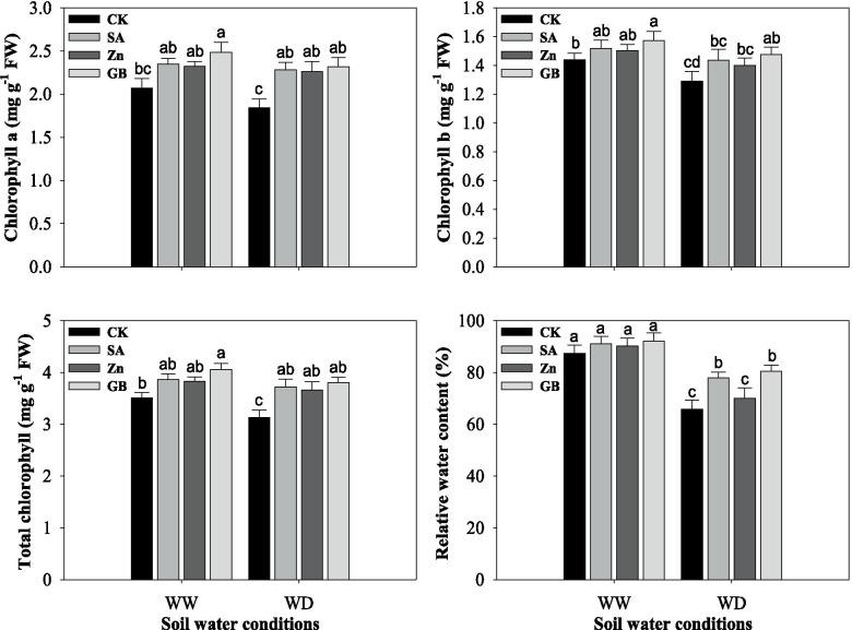 https://cdn.ncbi.nlm.nih.gov/pmc/blobs/a5ef/8647490/33b4f31fc4e2/12870_2021_3367_Fig1_HTML.jpg