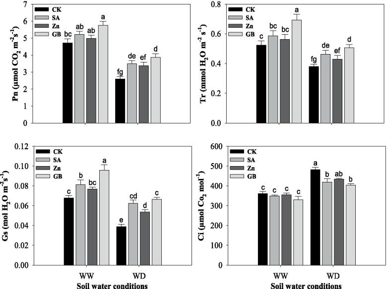 https://cdn.ncbi.nlm.nih.gov/pmc/blobs/a5ef/8647490/9980c6d496a5/12870_2021_3367_Fig2_HTML.jpg