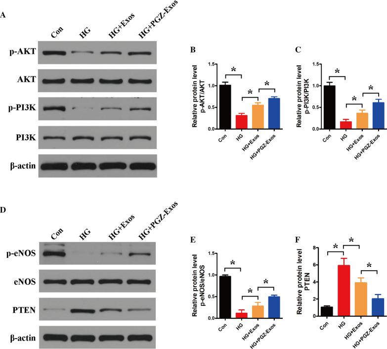 https://cdn.ncbi.nlm.nih.gov/pmc/blobs/a5f0/8139165/21fe2623e409/12951_2021_894_Fig5_HTML.jpg