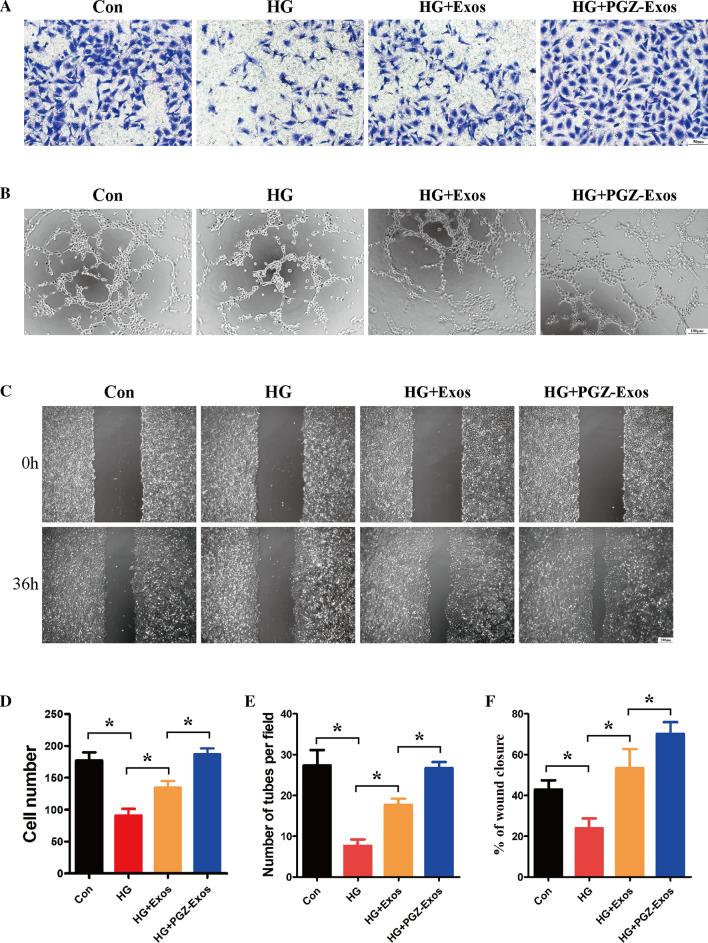 https://cdn.ncbi.nlm.nih.gov/pmc/blobs/a5f0/8139165/541c342d54b8/12951_2021_894_Fig4_HTML.jpg