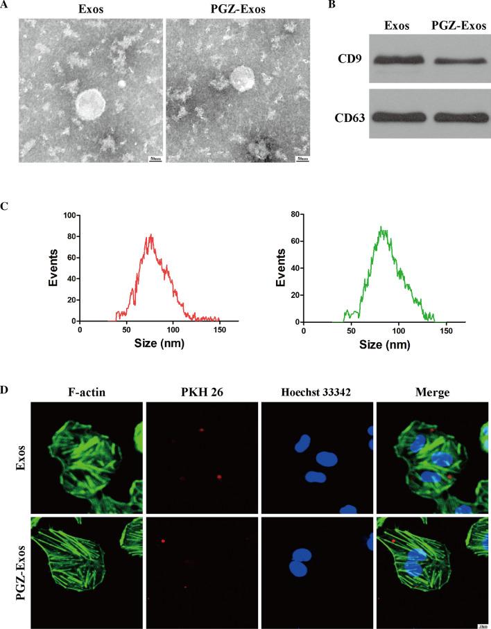 https://cdn.ncbi.nlm.nih.gov/pmc/blobs/a5f0/8139165/8019a23e7a52/12951_2021_894_Fig2_HTML.jpg