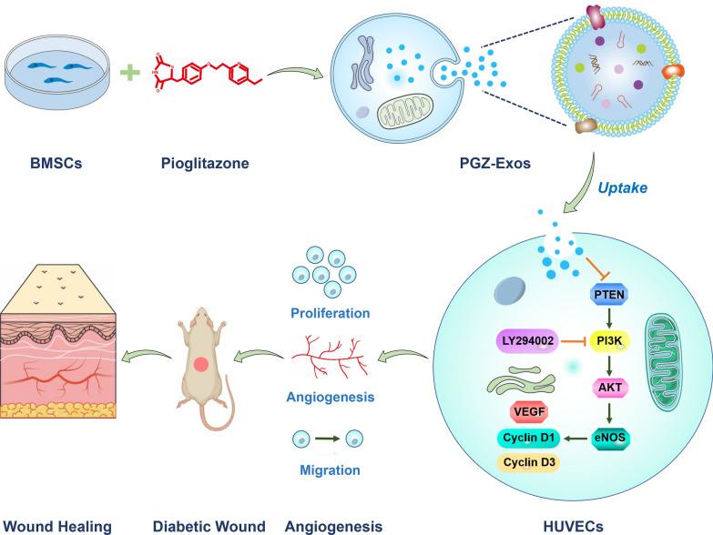 https://cdn.ncbi.nlm.nih.gov/pmc/blobs/a5f0/8139165/923da9247f75/12951_2021_894_Fig1_HTML.jpg