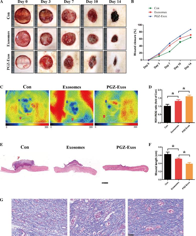 https://cdn.ncbi.nlm.nih.gov/pmc/blobs/a5f0/8139165/931875ab619f/12951_2021_894_Fig8_HTML.jpg