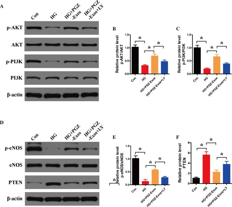 https://cdn.ncbi.nlm.nih.gov/pmc/blobs/a5f0/8139165/cdac1cdd47a5/12951_2021_894_Fig7_HTML.jpg