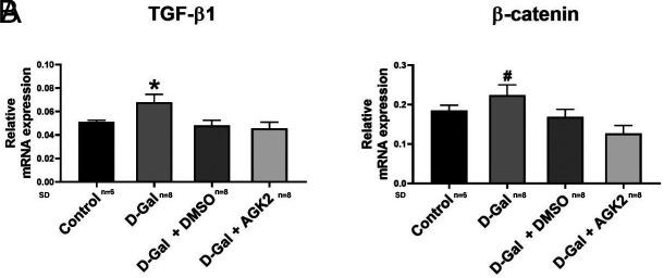 https://cdn.ncbi.nlm.nih.gov/pmc/blobs/a5f1/11965944/5e904a927f05/ajc-29-4-173_f001.jpg