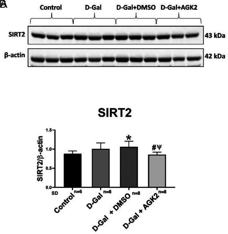https://cdn.ncbi.nlm.nih.gov/pmc/blobs/a5f1/11965944/a4db4ebaa4f4/ajc-29-4-173_f002.jpg